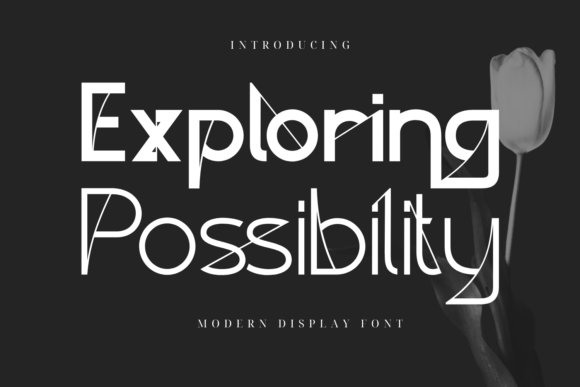 Exploring Possibility Typeface for Elegant Brands