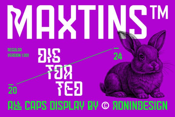 Maxtins: The Bold Display Font for Modern Brands