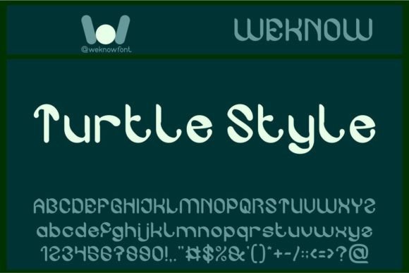 Turtle Style: A Whimsical Display Font for Branding