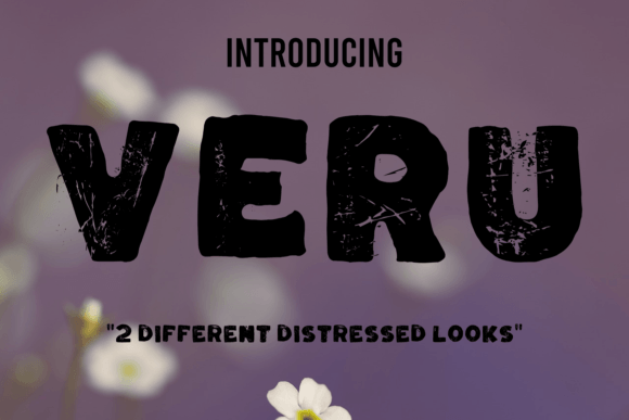 Veru Font: Elevating Small Business Branding